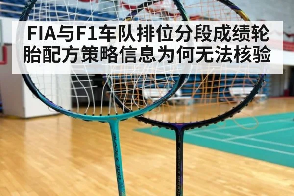 FIA与F1车队排位分段成绩轮胎配方策略信息为何无法核验