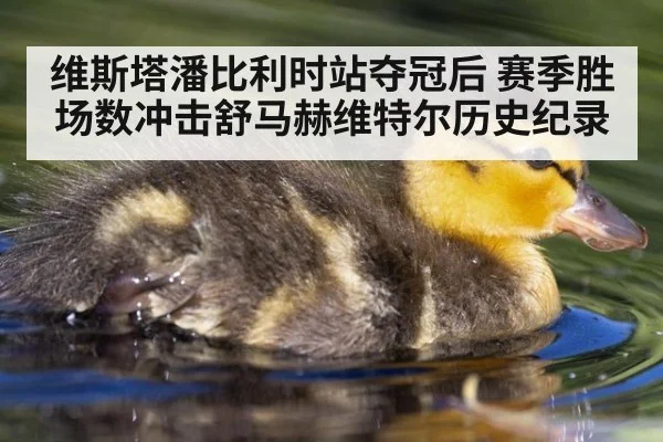 维斯塔潘比利时站夺冠后 赛季胜场数冲击舒马赫维特尔历史纪录